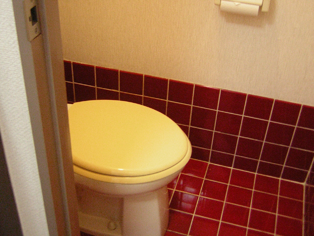 Toilet