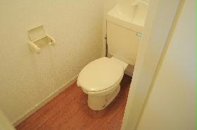 Toilet. Spacious toilet