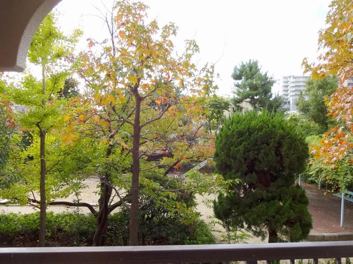 View photos from the dwelling unit. View from the site (November 2013) Shooting There is a park that can feel the four seasons before balcony