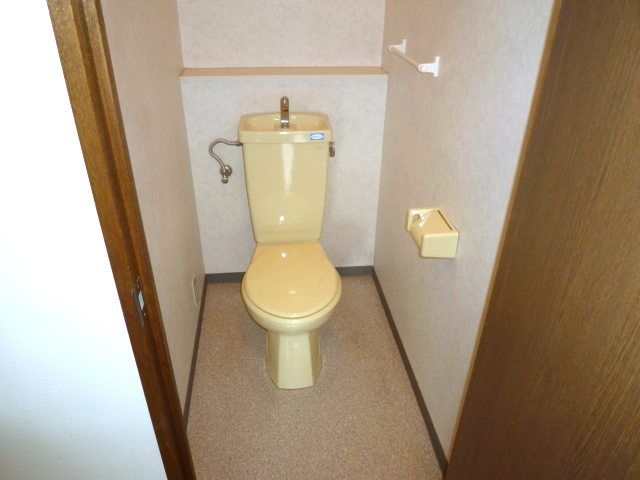 Toilet. Storage is with shelf