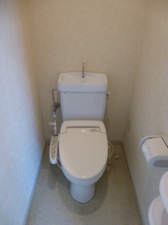 Toilet. With a convenient counter!