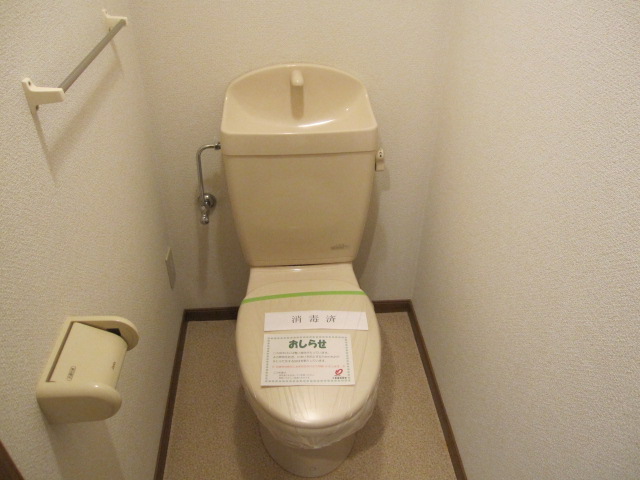 Toilet. Beautiful toilet (* ^ _ ^ *)