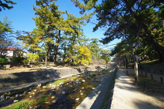 Other. Of adjacent Shukugawa