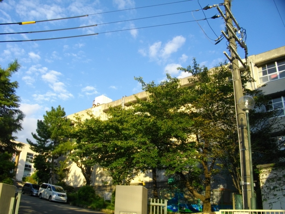 Junior high school. 2300m to Nishinomiya Municipal Taisha junior high school (junior high school)