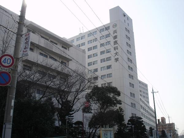 Hospital. Hyogo College of Medicine 332m to the hospital