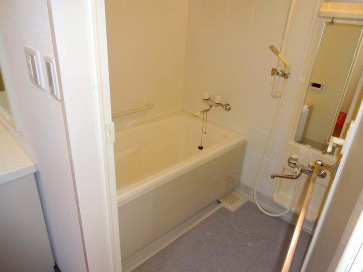 Bathroom. Indoor (12 May 2013) Shooting It is less Bathing stepped