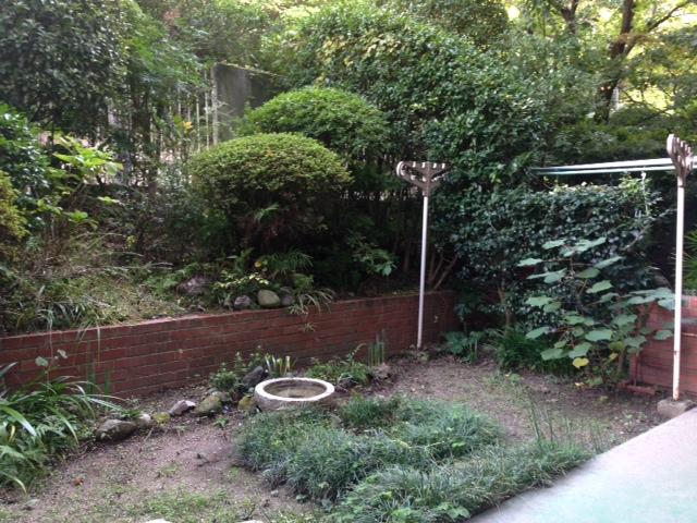 Garden. You can also gardening