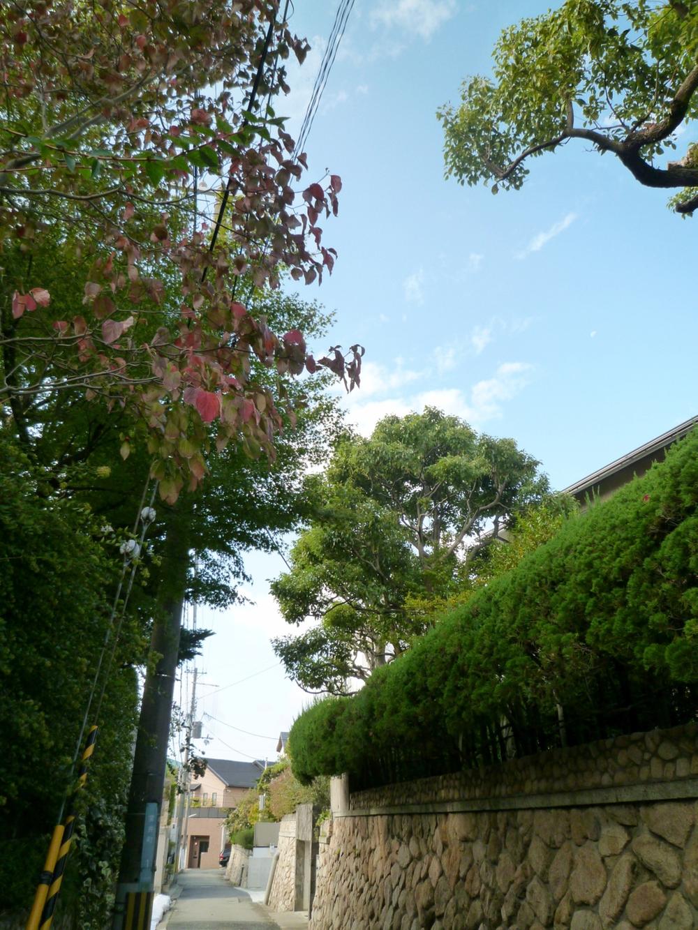 Streets around. Road of 10m site front until the environment around the local. Is a quiet environment. 