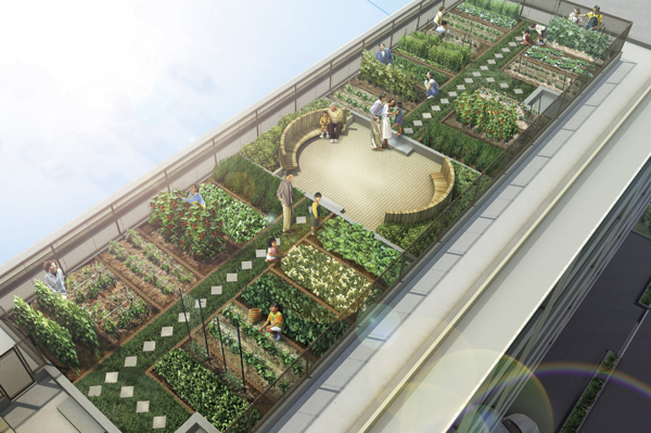 Shared facilities.  [Roof farm] The roof of the home garden to be lent only to residents who wish (1 compartment: Vertical 150cm × horizontal 310cm × depth 30cm) in, While close to enjoying the feel of the soil, Grow vegetables, etc., You can harvest ※ There are rules for the use. For more information on rental costs, etc. Please ask the attendant (Rendering)
