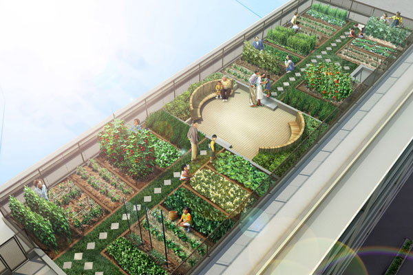 Buildings and facilities. Looking forward to the rooftop garden is to grow vegetables and herbs. There are two places in the faucet, Watering is also happy to (use fee required / Roof farm Rendering)
