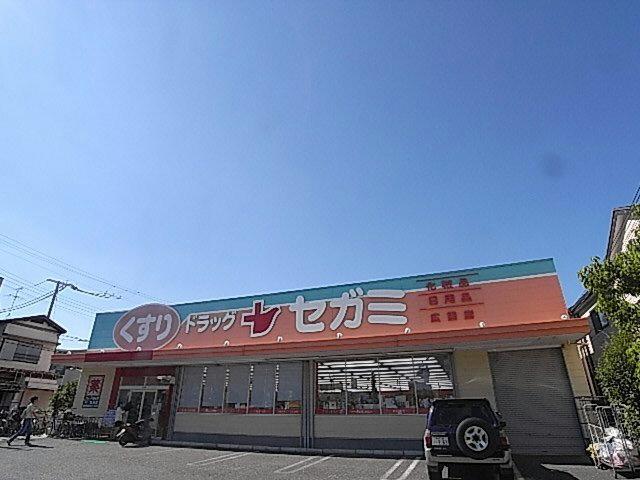 Drug store. Drag Segami Taisha 454m to shop