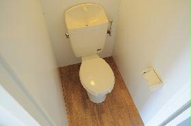 Toilet. Spacious toilet