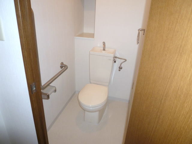 Toilet. Toilet with a handrail There is also a storage shelf