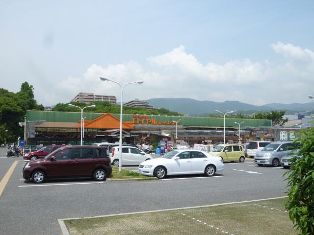 Home center. Royal Home Center Nishinomiya up (home improvement) 614m