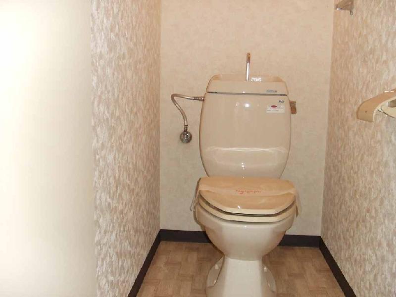 Toilet. Toilet