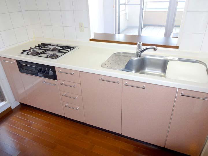 Kitchen. Indoor (12 May 2013) Shooting Counter kitchen bouncing of the conversation is popular with wife