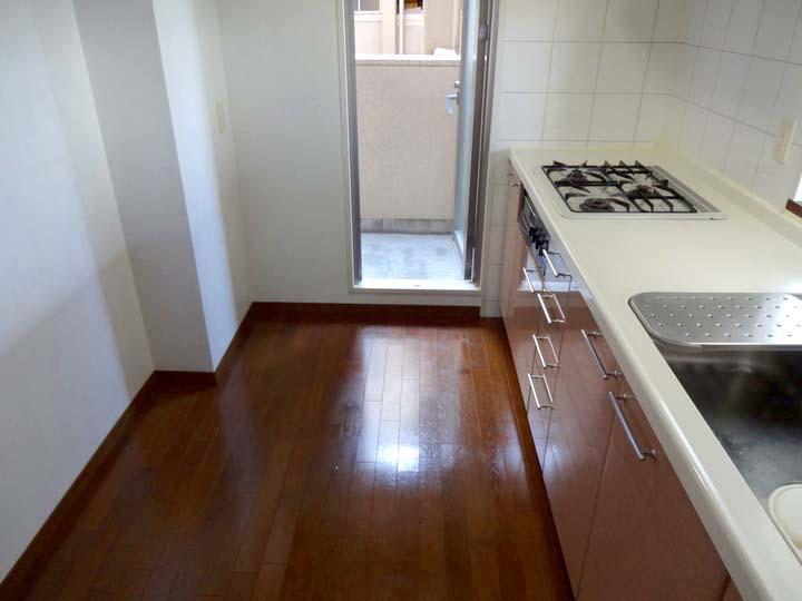 Kitchen. Indoor (12 May 2013) Shooting There is also wife happy back door!