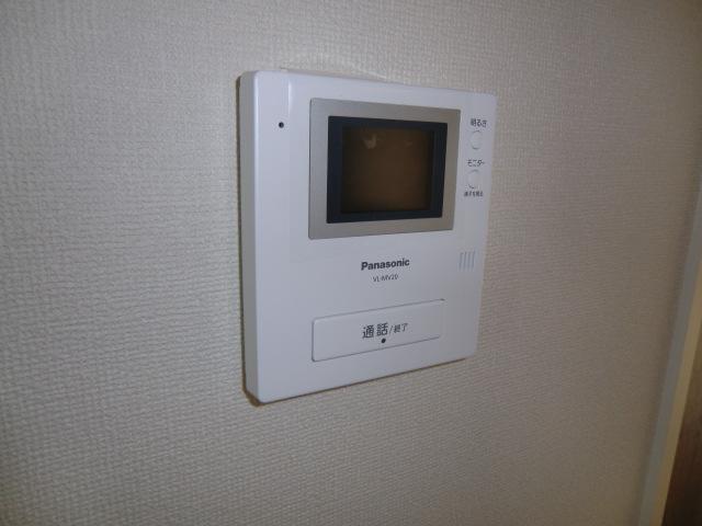 Security equipment. Local photos (color monitor intercom)