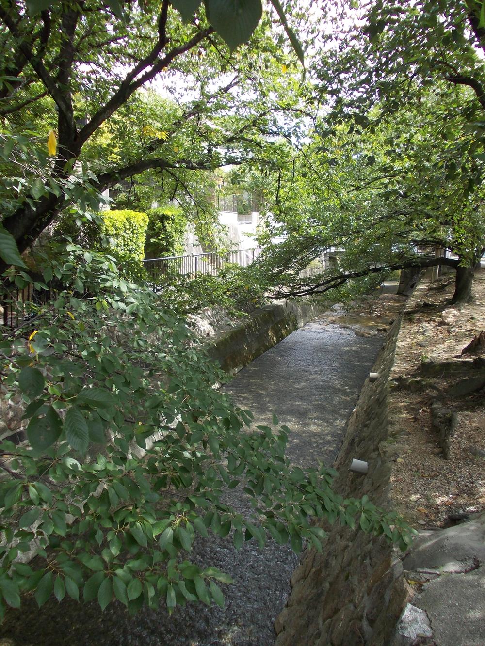 park. Nakaniida River 400m to green space