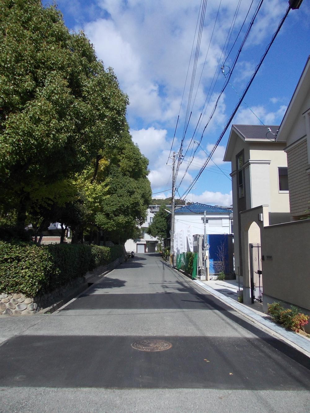 Local photos, including front road. The right side is brought Property