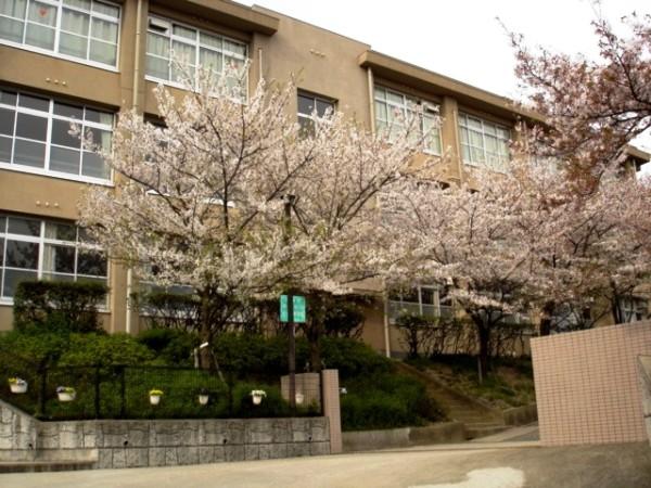 Junior high school. 1432m to Nishinomiya Municipal Uegahara junior high school