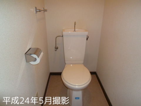 Toilet. Toilet