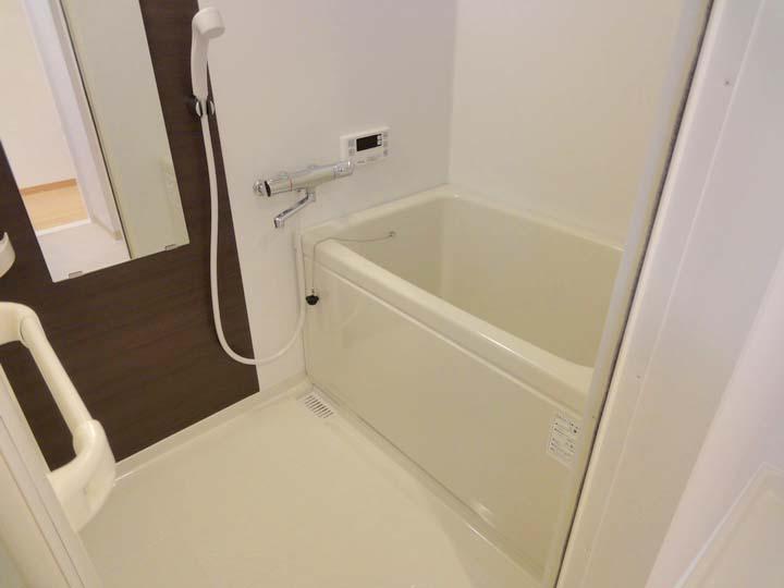 Bathroom. Bath unit bus has also been had made.