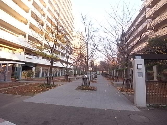 Other local