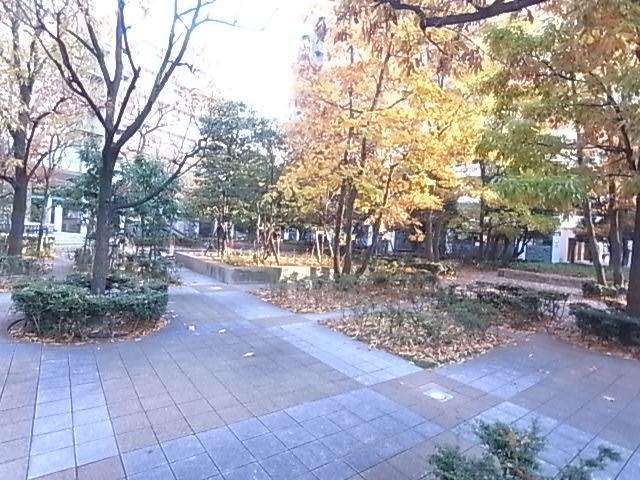 Other local
