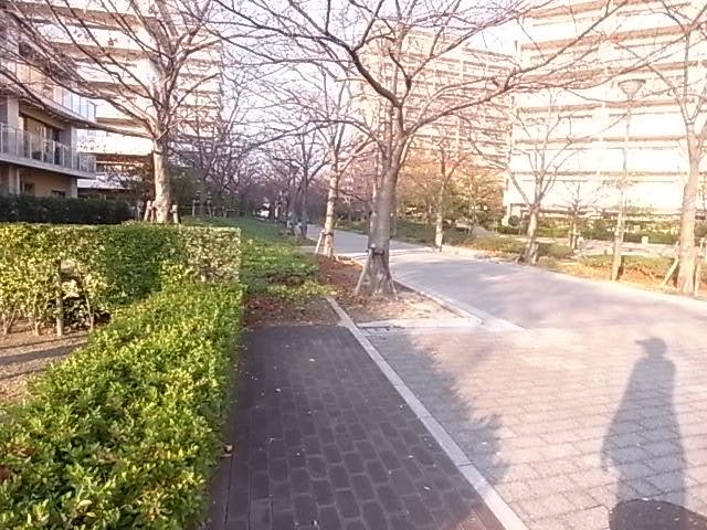 Other local