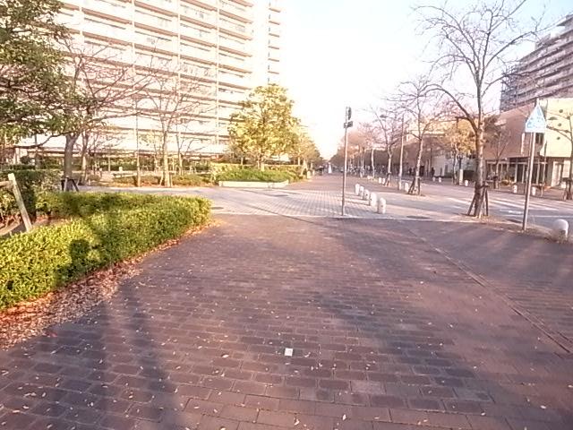 Other local