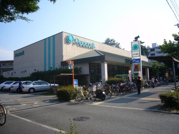 Supermarket. 938m until Daimarupikokku Koshien shop
