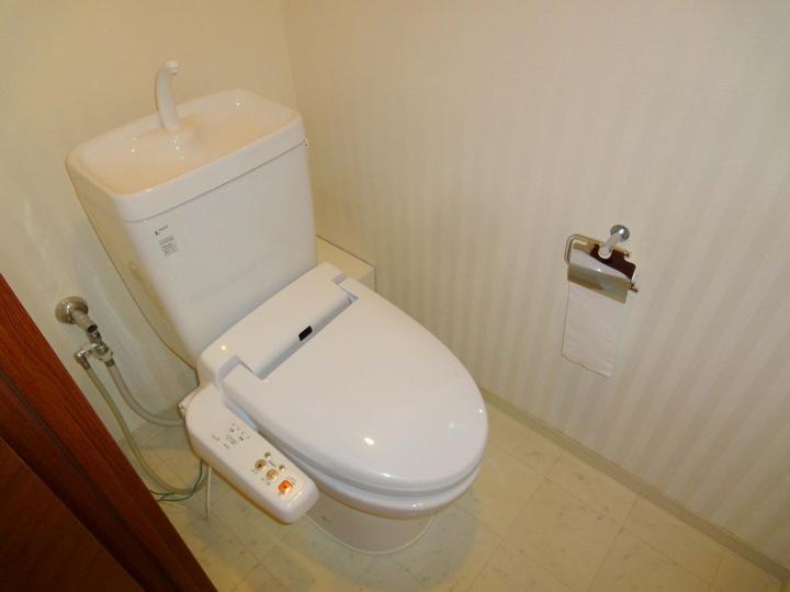 Toilet. Room (May 2013) Shooting