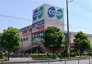 Supermarket. 744m until Gourmet City North Naruo store (Super)