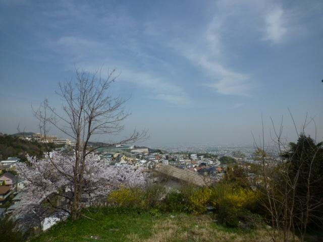 Other local
