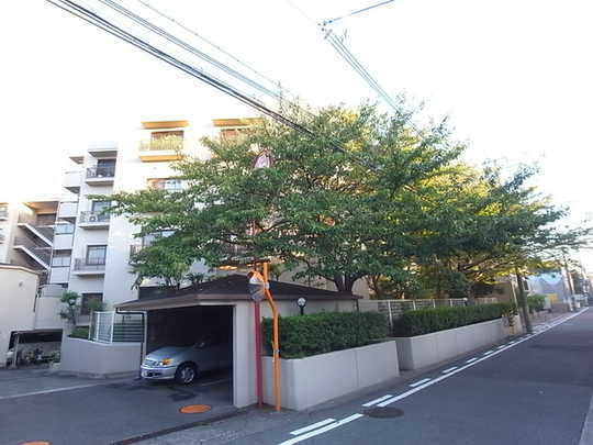 Local appearance photo
