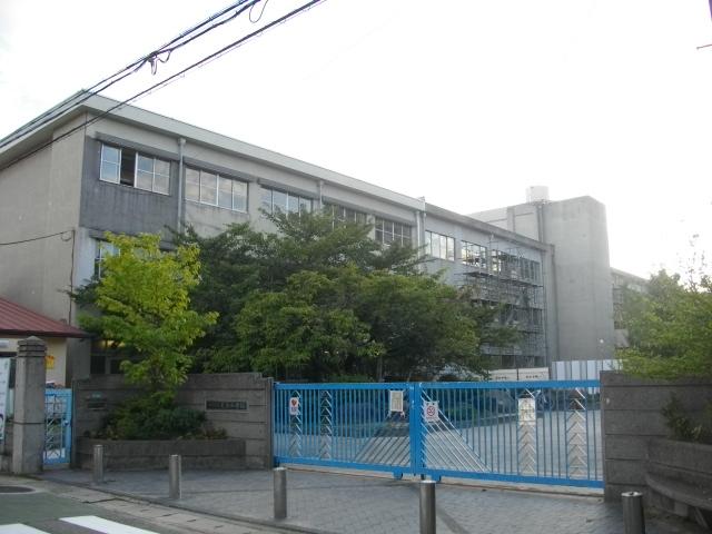 Primary school. 1267m to Nishinomiya Tatsukawara tree elementary school (elementary school)