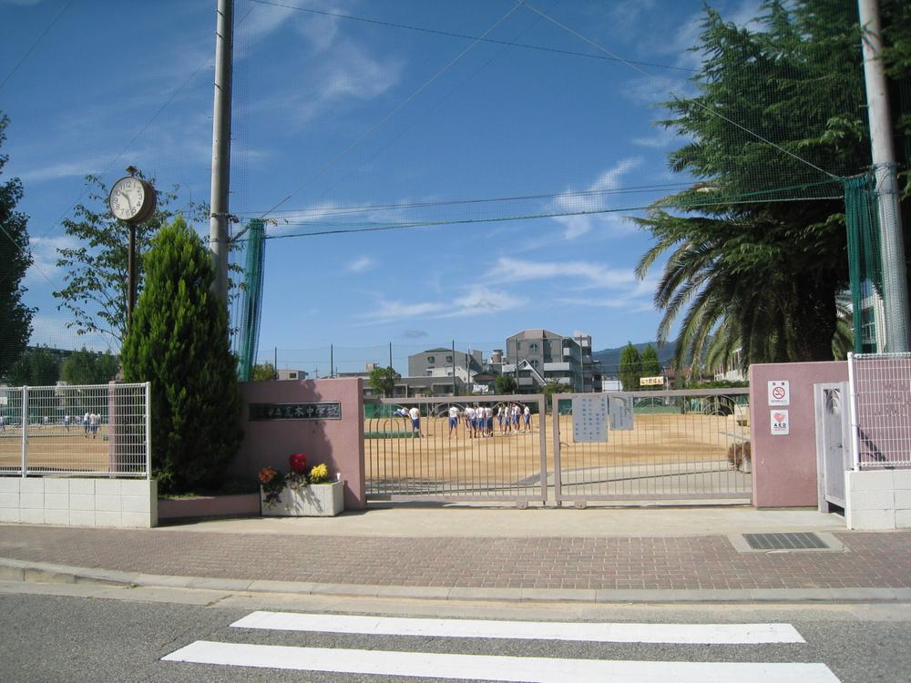 Junior high school. 1163m to Nishinomiya Tatsukawara tree junior high school