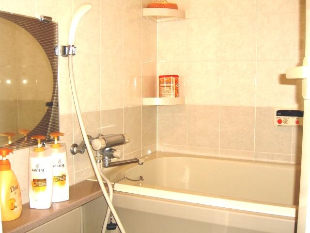 Bathroom. Room (May 2013) Shooting