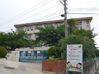 Primary school. 654m up to pleasure and pain Gardens Elementary School