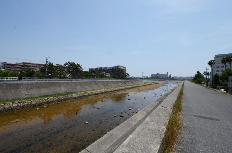 Other. Neighborhood landscape