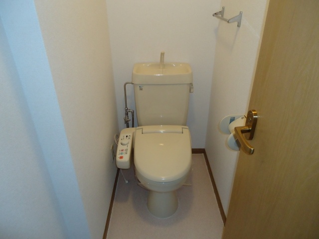 Toilet. Western-style toilet