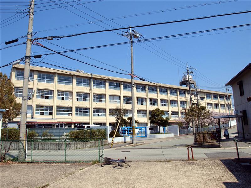 Junior high school. 448m up to municipal Yamaguchi junior high school (junior high school)