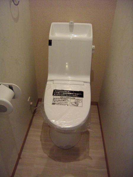 Toilet. Tank-in-one toilet