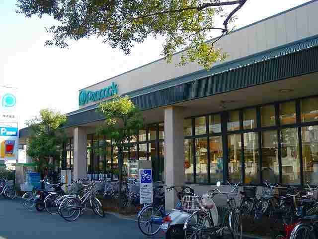 Supermarket. Daimarupikokku Koshien shop