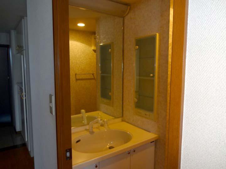 Wash basin, toilet. Mirror of one wall is the dresser features.