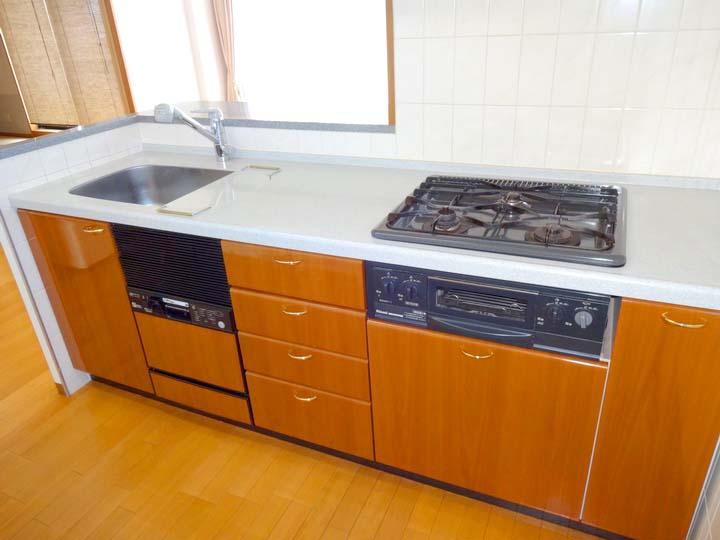 Kitchen. It comes with a dishwasher