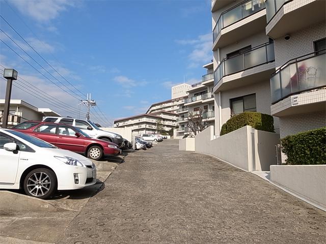 Parking lot. Common areas