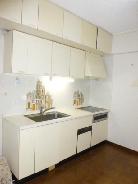 Kitchen. Indoor (12 May 2013) Shooting