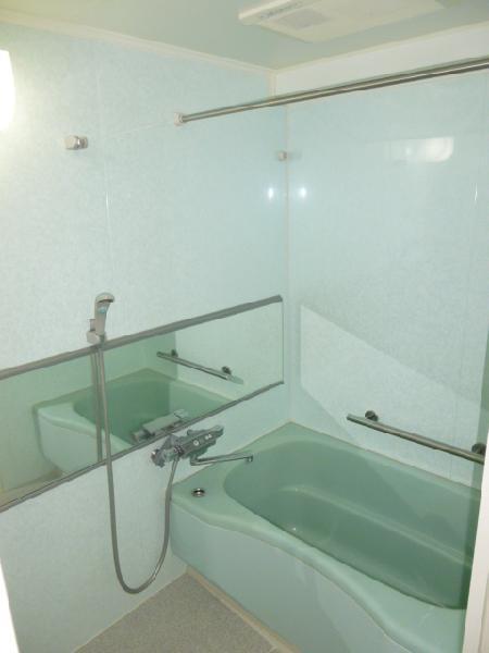 Bathroom. Indoor (12 May 2013) Shooting